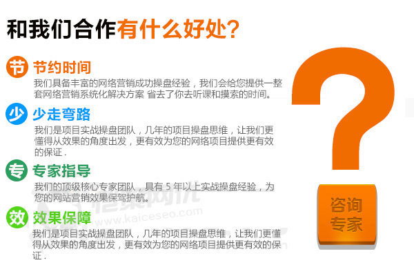 恺策网优是一家专业做营销型网站的公司，能为您的项目提供效果保证