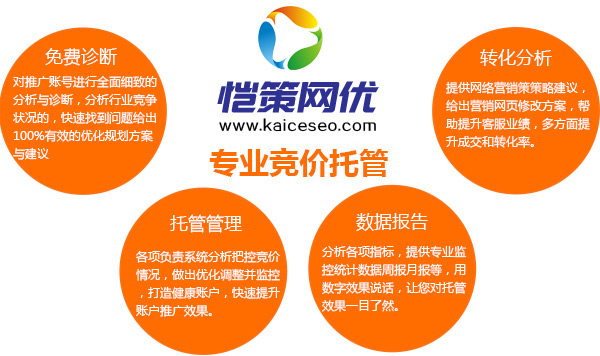 恺策网优专业竞价托管服务商